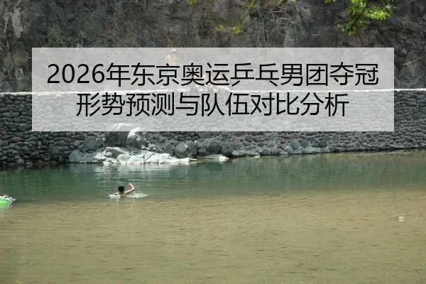 2026年东京奥运乒乓男团夺冠形势预测与队伍对比分析