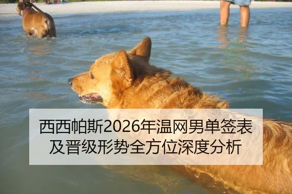 西西帕斯2026年温网男单签表及晋级形势全方位深度分析